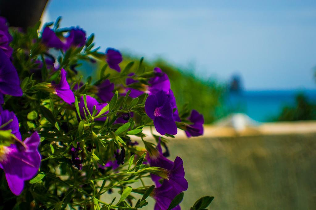 Agathi Beach House Agios Gordios  Exterior foto